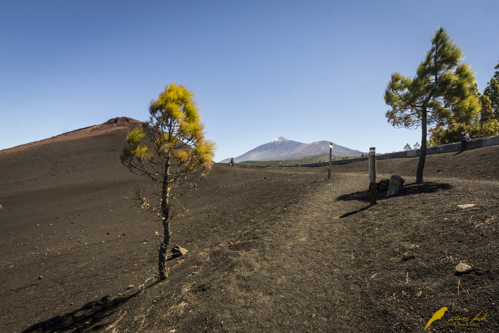 Area Negras am Teide in Teneriffa