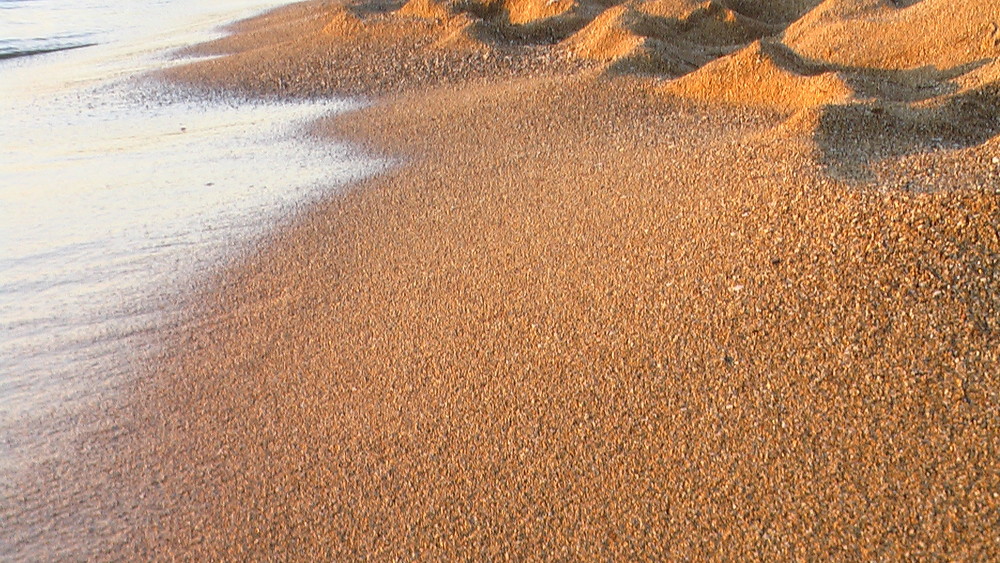 arena del playa cap cavaleria