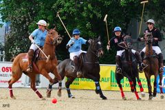 Arena-Polo Maimarkt Mannheim 3