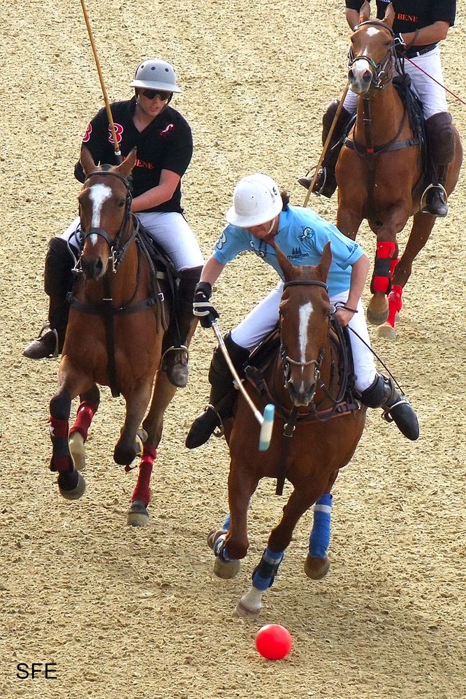 Arena-Polo Maimarkt Mannheim