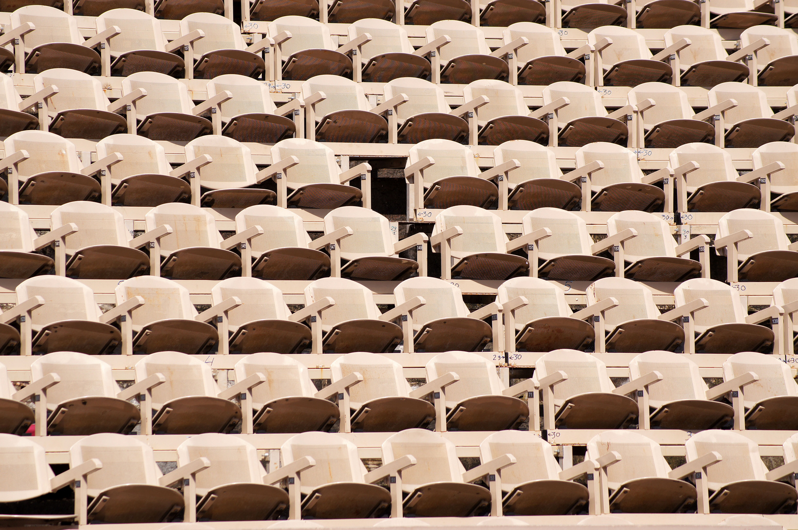 Arena Verona II