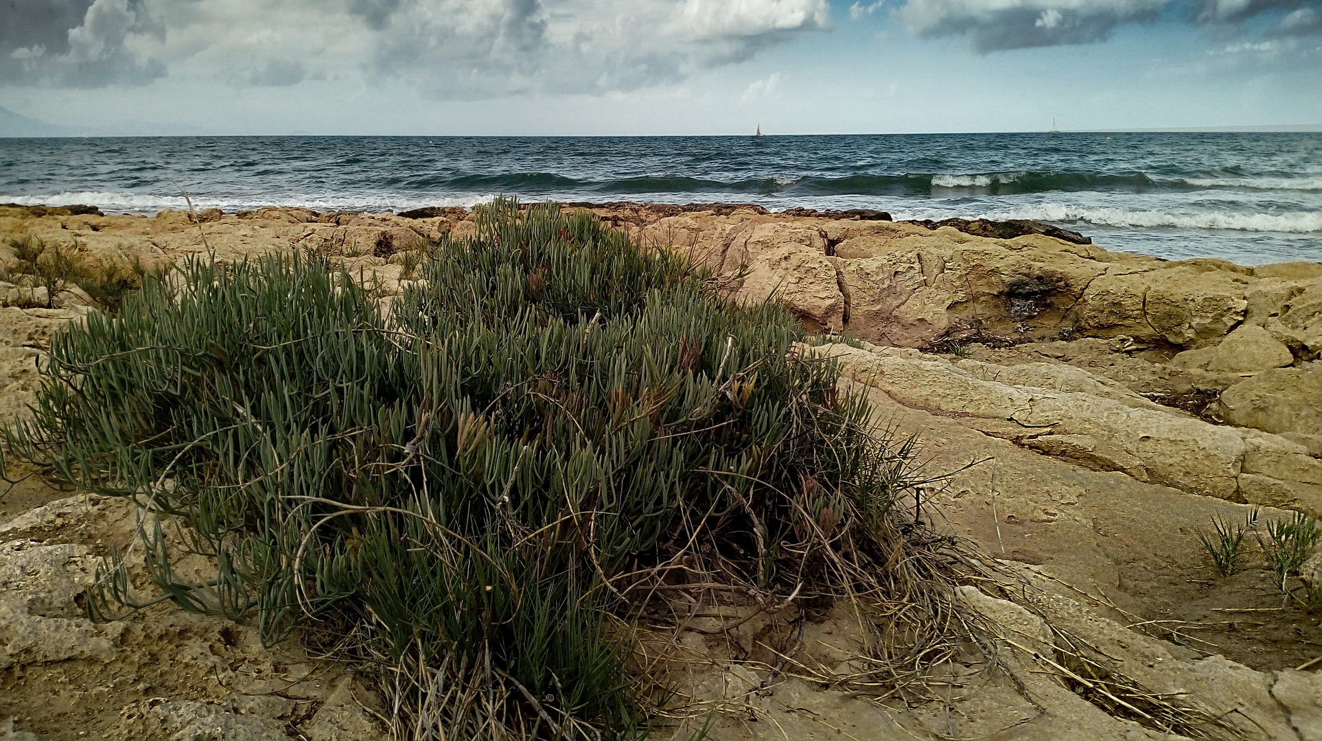 Arenales del Sol - Spanien