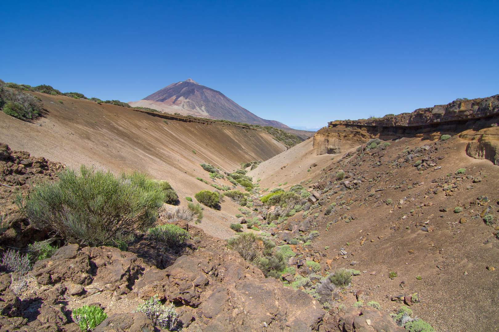 ArenasNegras II