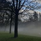 Arend Mayer - Weihnachtsnebel in der Großstadt