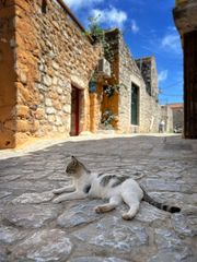 areopoli060_
