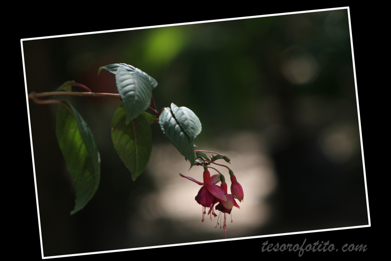 ARETES DE LA NATURALEZA.......