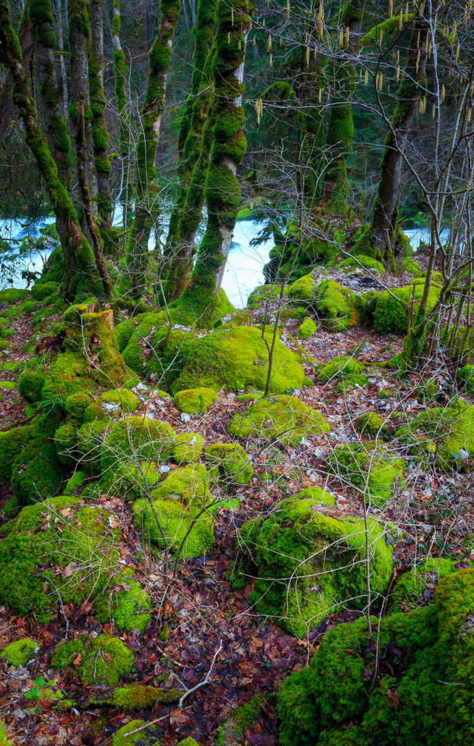 Areuseschlucht 2