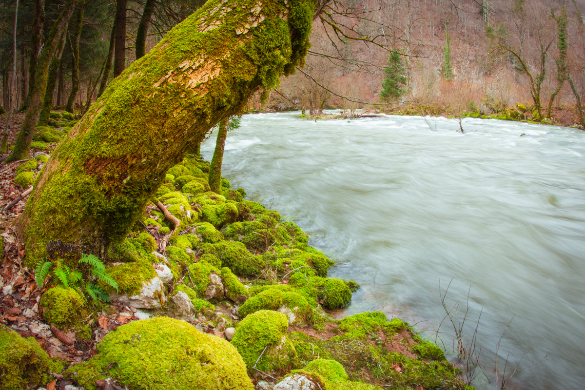 Areuseschlucht