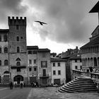 Arezzo