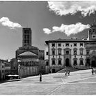 Arezzo