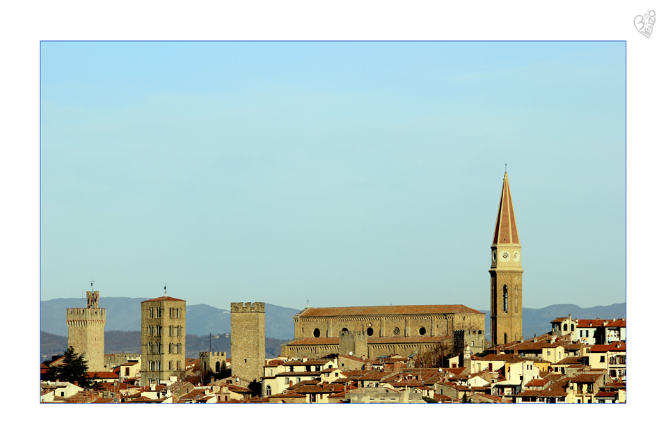 Arezzo profile