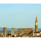 Arezzo profile