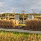 Argelsrieder Friedhof im Sonnenlicht