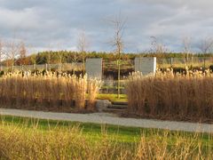 Argelsrieder Friedhof im Sonnenlicht