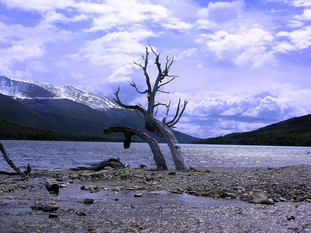 ARGENTINA 2007 - USHUAIA 2008