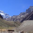 Argentina Aconcagua...