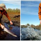 Argentina Compilation PT.II - Seatrout Flyfishing - Rio Gallegos