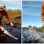 Argentina Compilation PT.II - Seatrout Flyfishing - Rio Gallegos