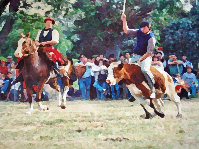 argentina jinete