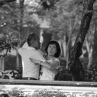 Argentinian Tango rehearsal in Lumphini Park, Bangkok