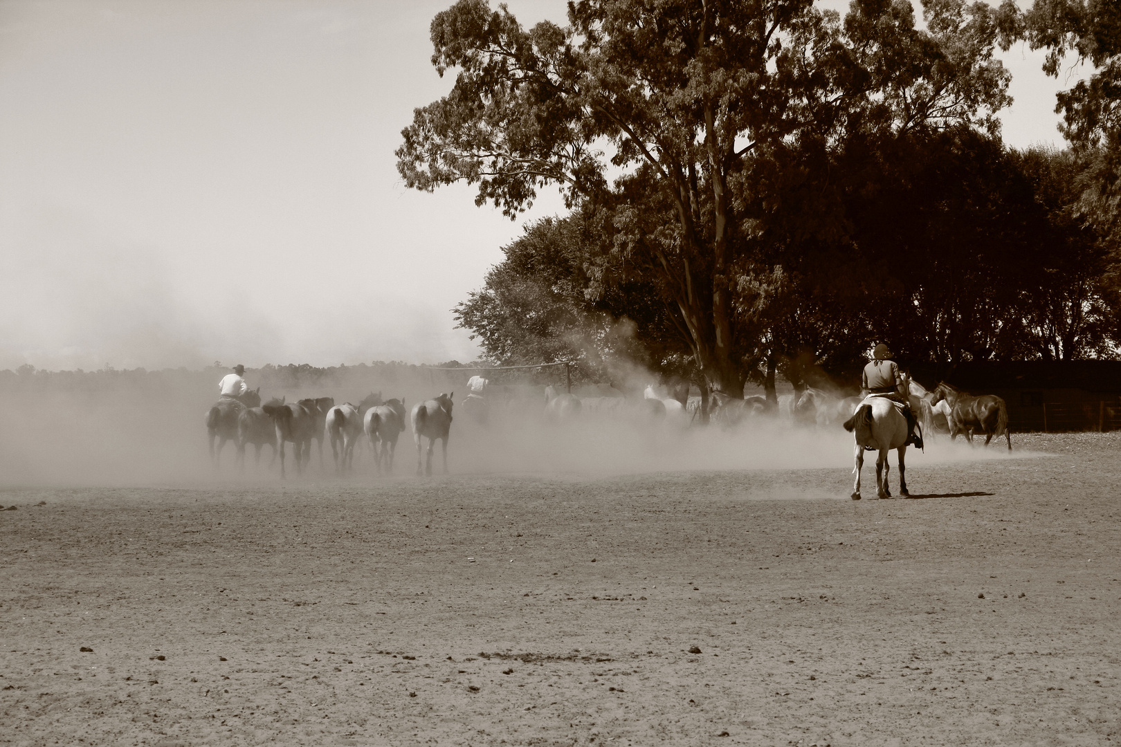 Argentinien, Ranch Santa Susana