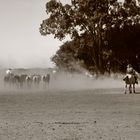 Argentinien, Ranch Santa Susana