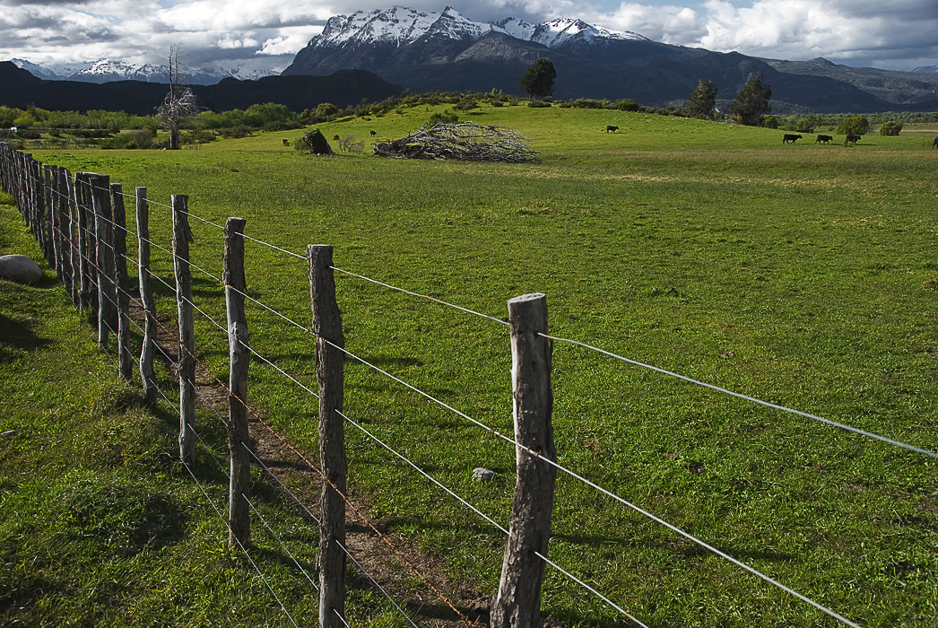 Argentinische Weidelandschaft mit Zaun...