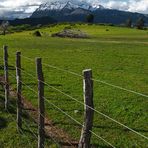 Argentinische Weidelandschaft mit Zaun...