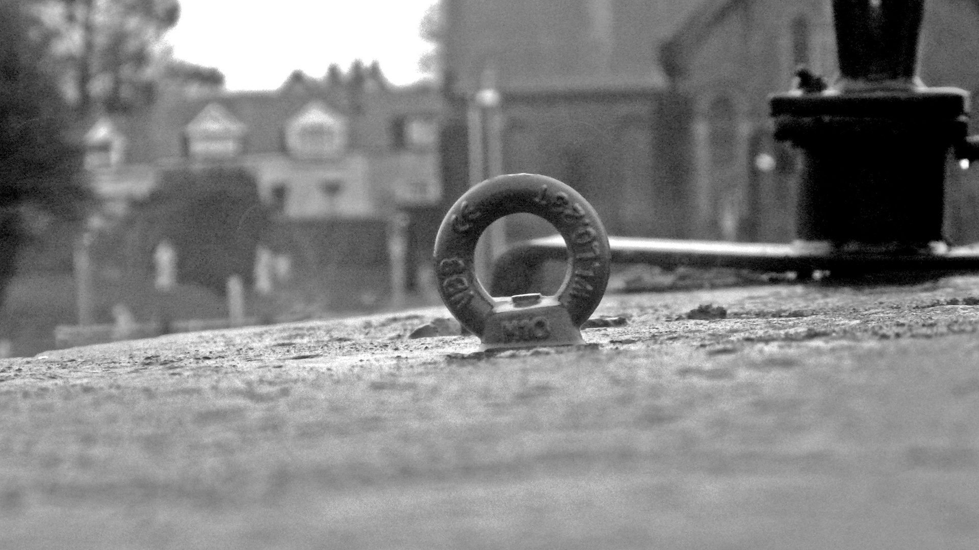 argolla en blanco y negro