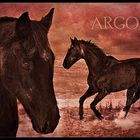 ARGON II