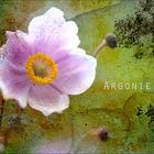 Argonie