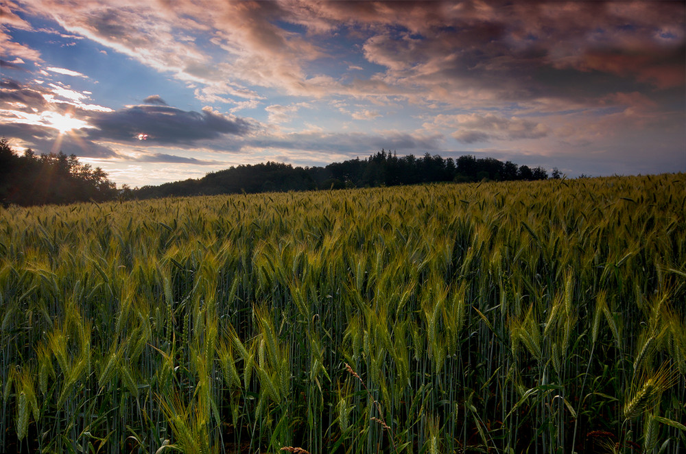 Argovia Landscape