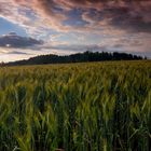 Argovia Landscape