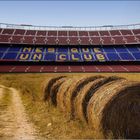 Argraflächennutzung im Mehrzweckstadion Camp Nou Barcelona