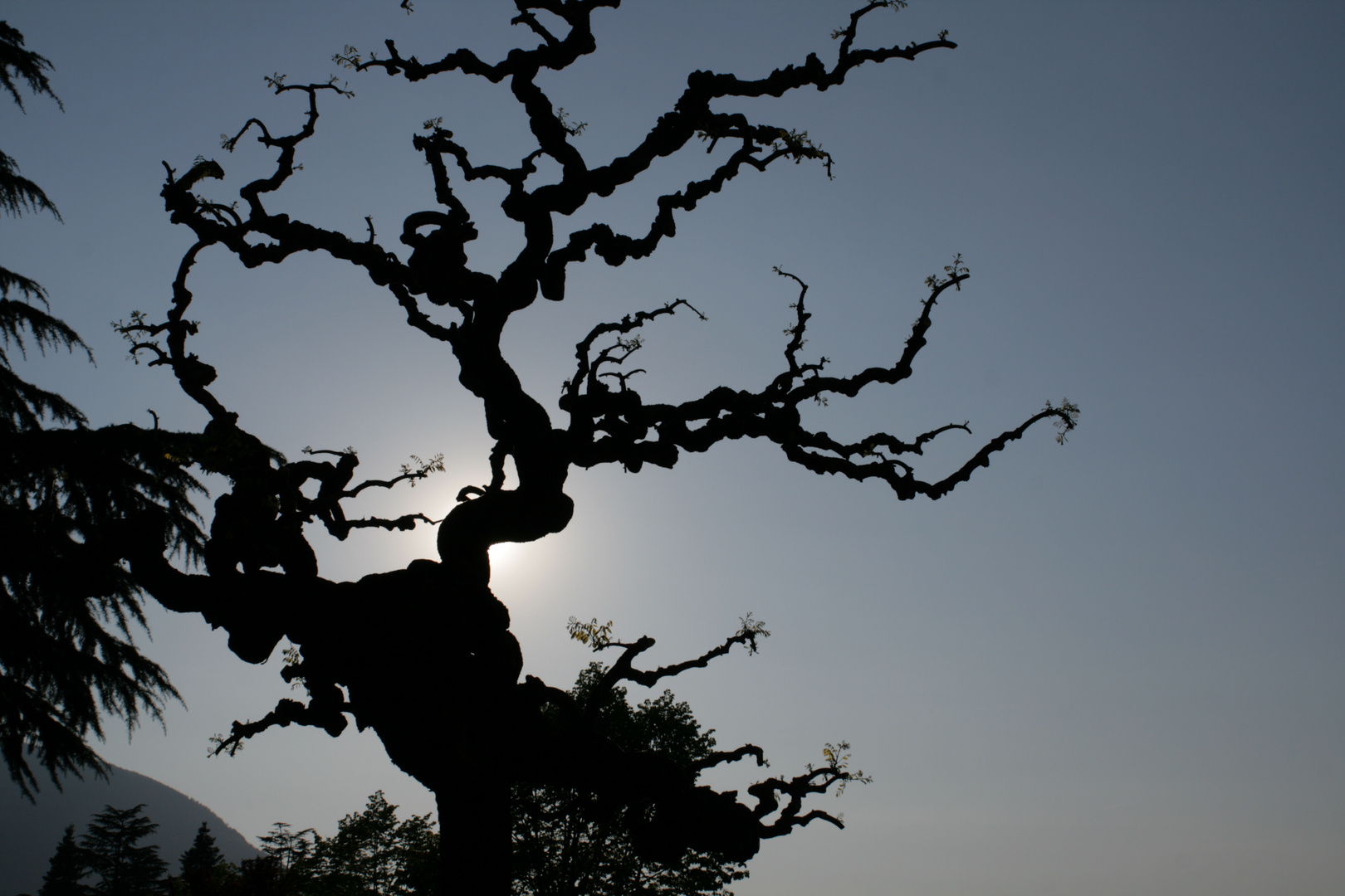 aria africana a pergine valsugana