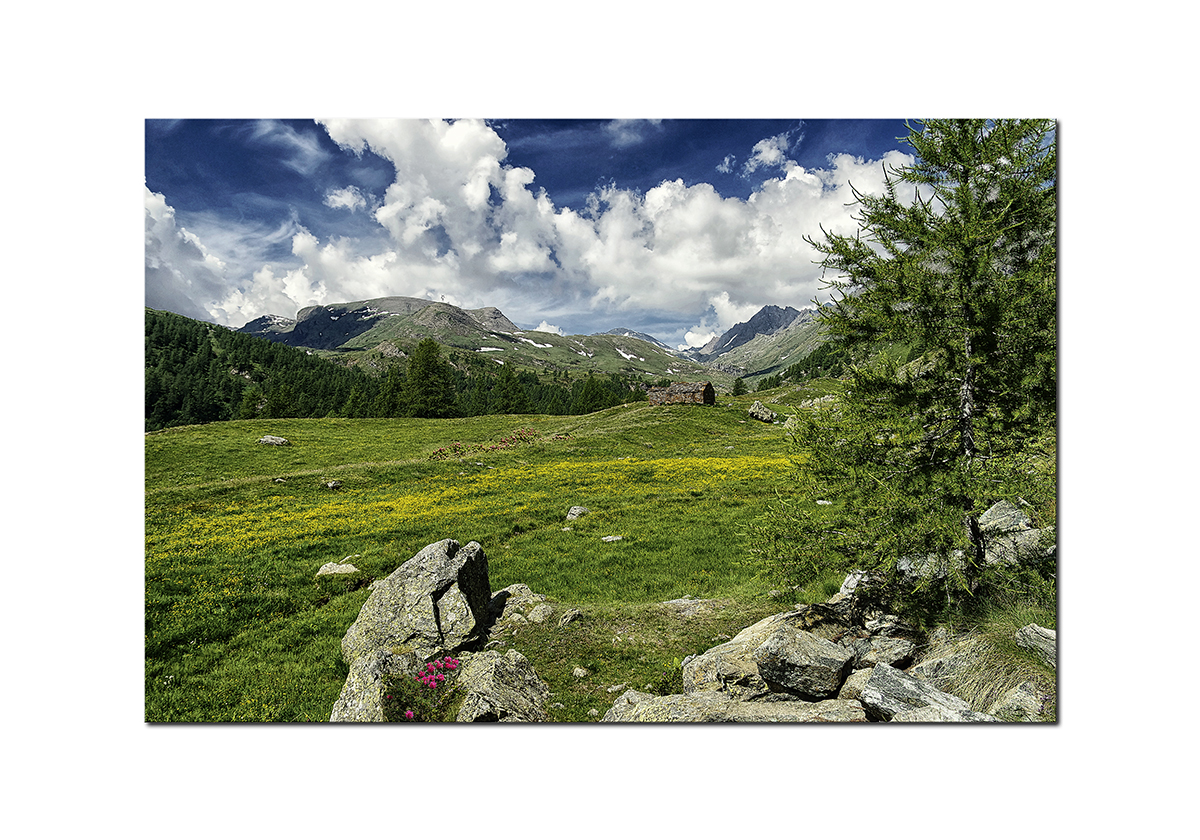 ARIA DI MONTAGNA