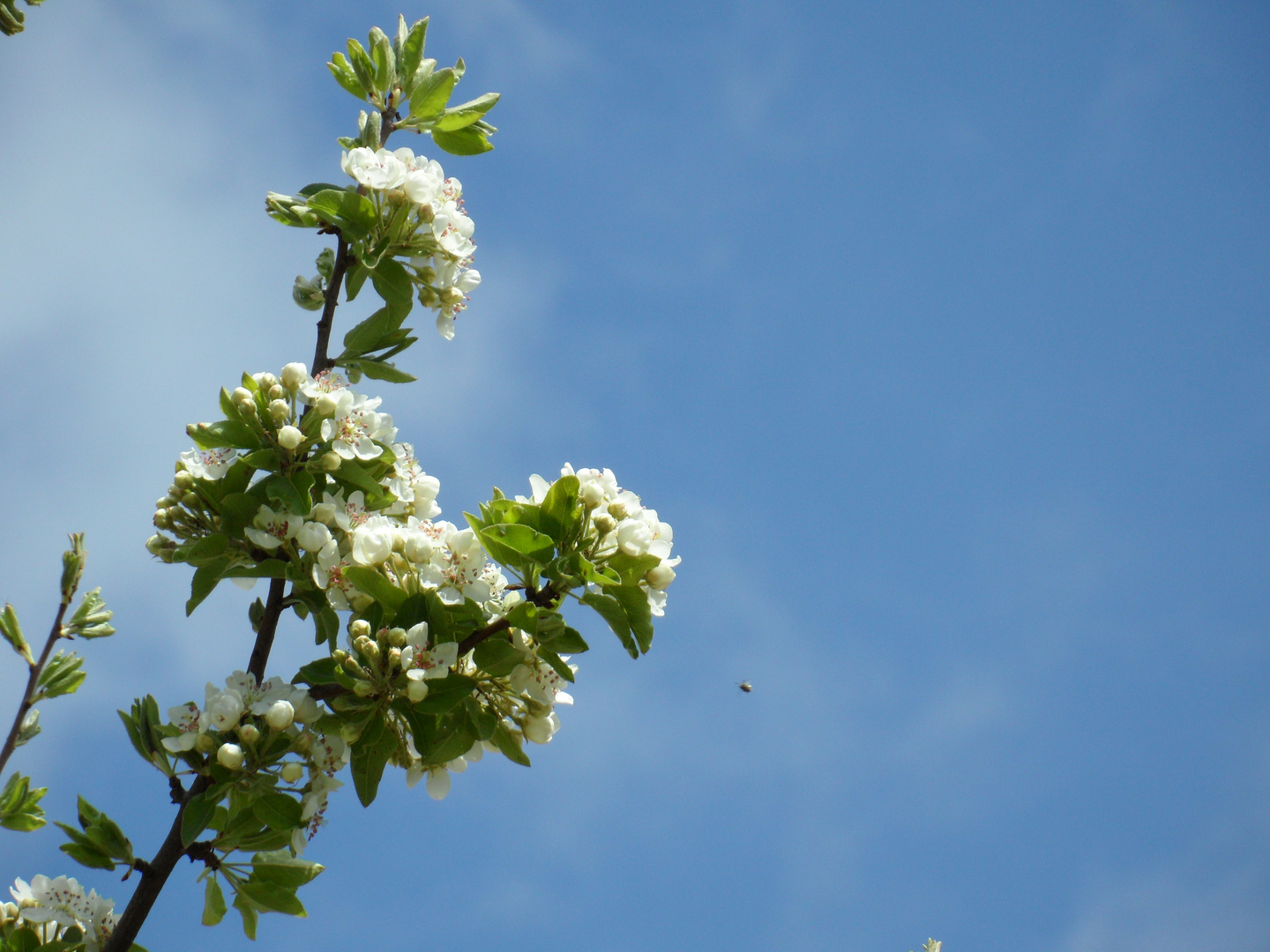 Aria di.....primavera