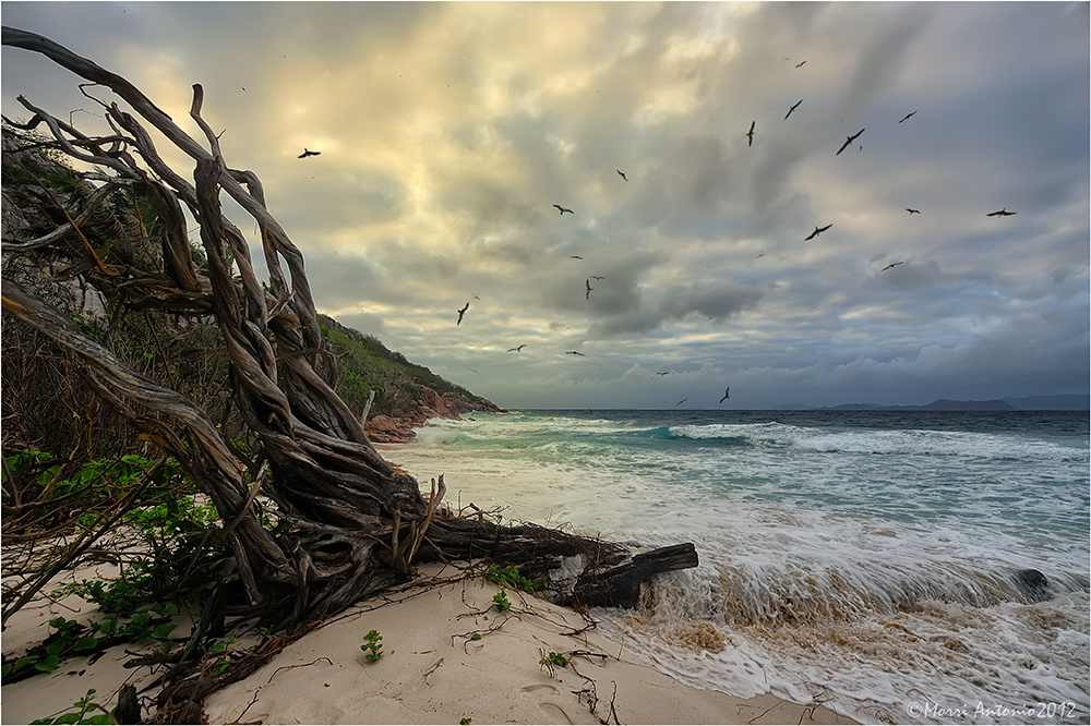 Aride (Seychelles)