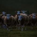 Ariège, France