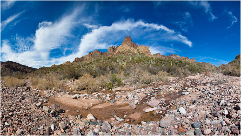 Arizona - Desert