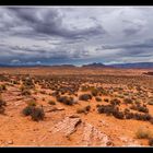 Arizona Landscape