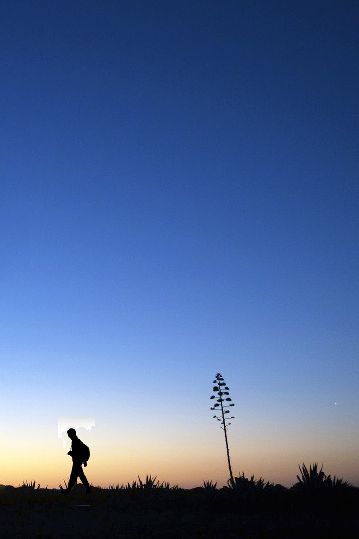 arizona minimalism