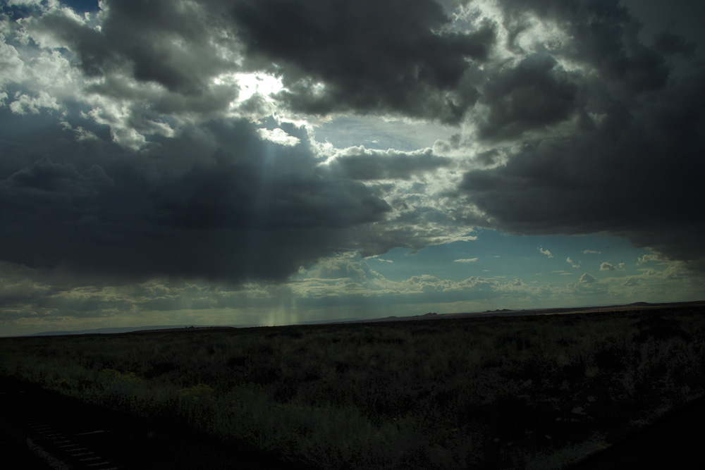 Arizona Rain