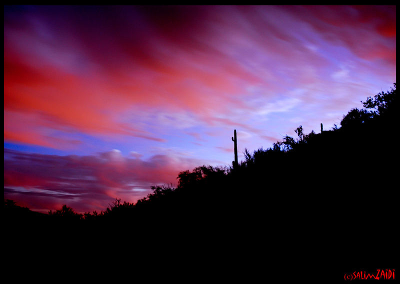 Arizona Sky