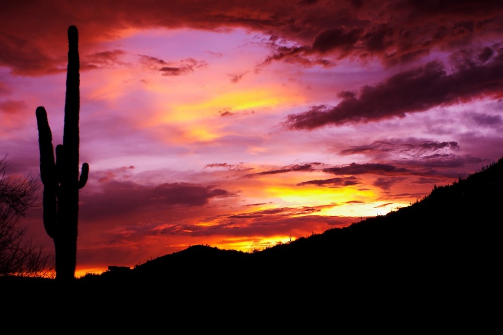 Arizona summer storm and sunset