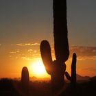 Arizona Sunset