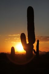 Arizona Sunset