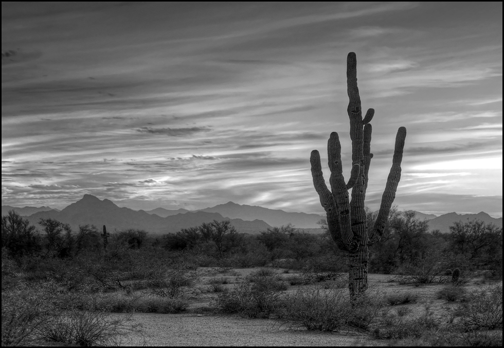 arizona sunset