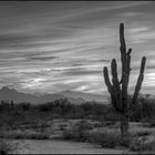 arizona sunset