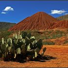 Arizona's Landschaften ...